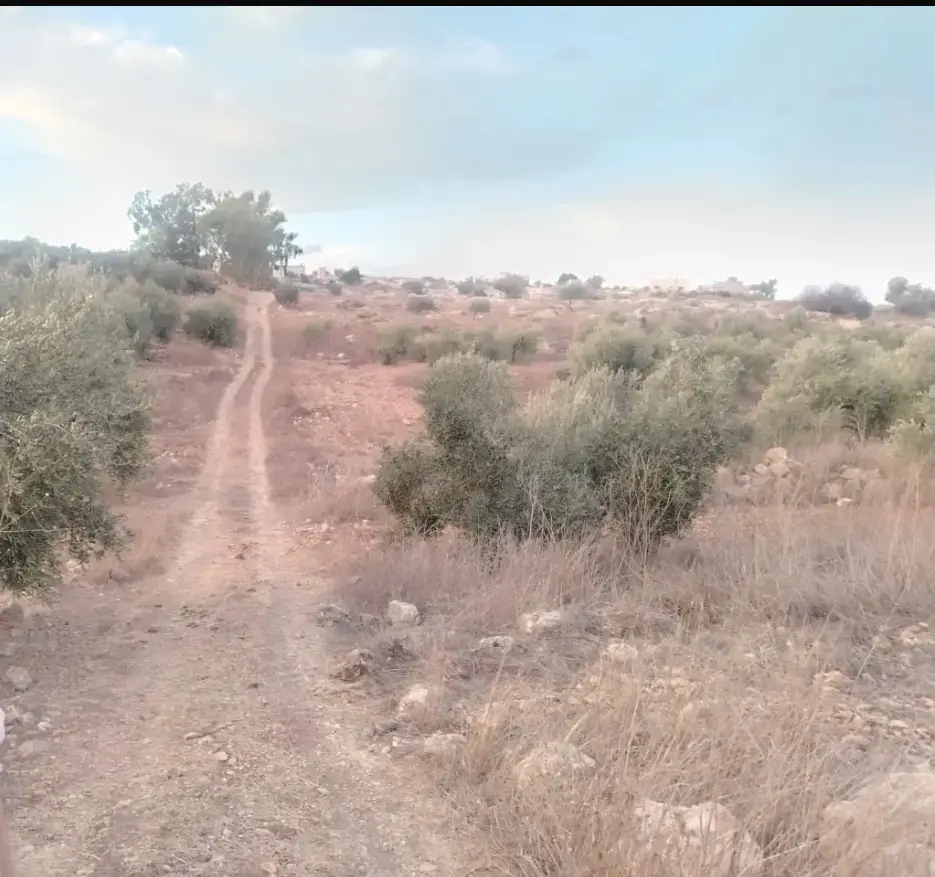 Land for sale in Hawr – photo 2