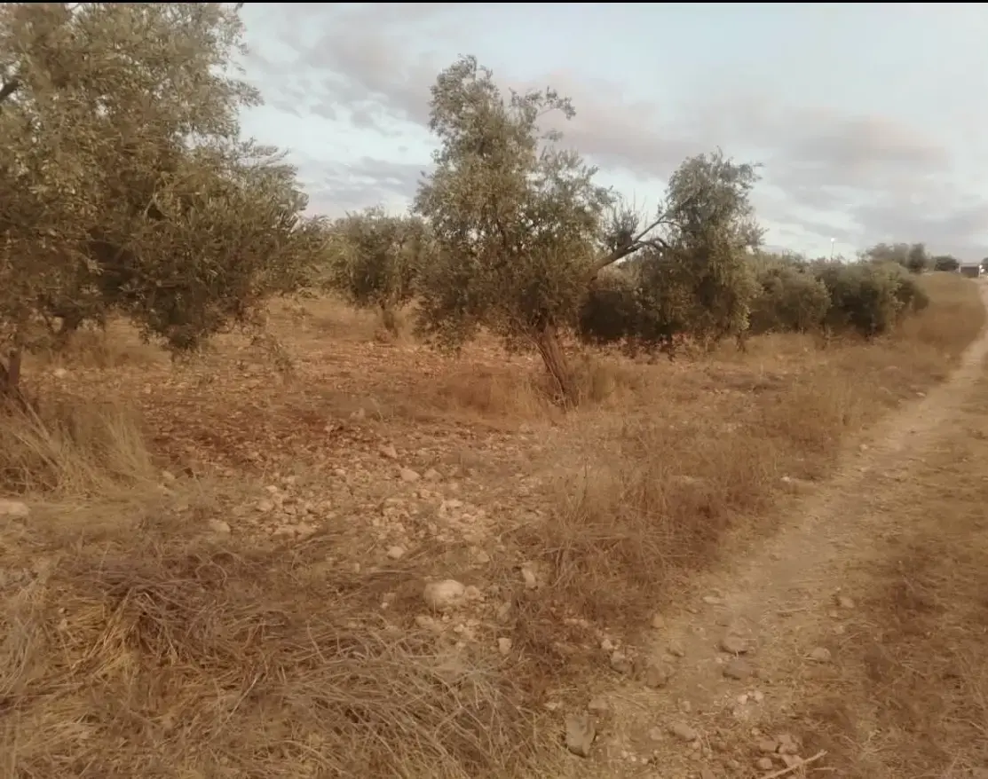 Land for sale in Hawr – photo 9