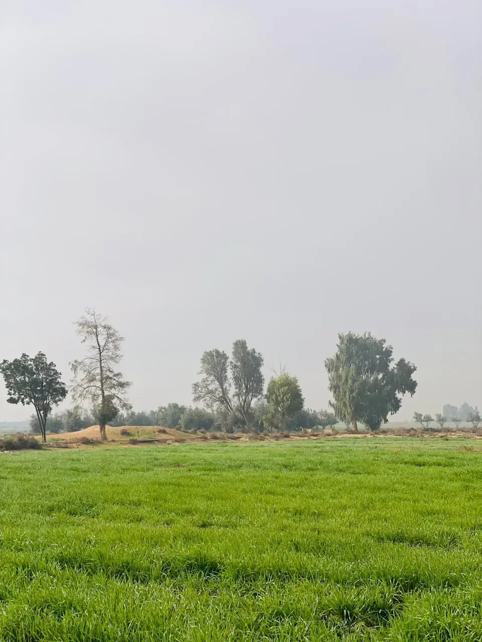 Land for sale in Qasr al-Hallabat Al-Gharbi – photo 3