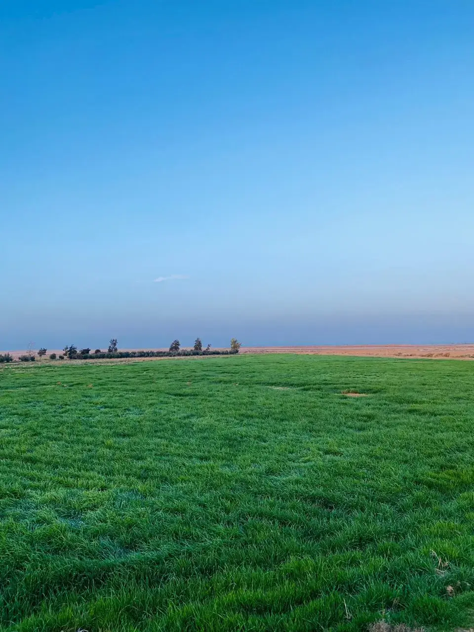 Land for sale in Qasr al-Hallabat Al-Gharbi – photo 8