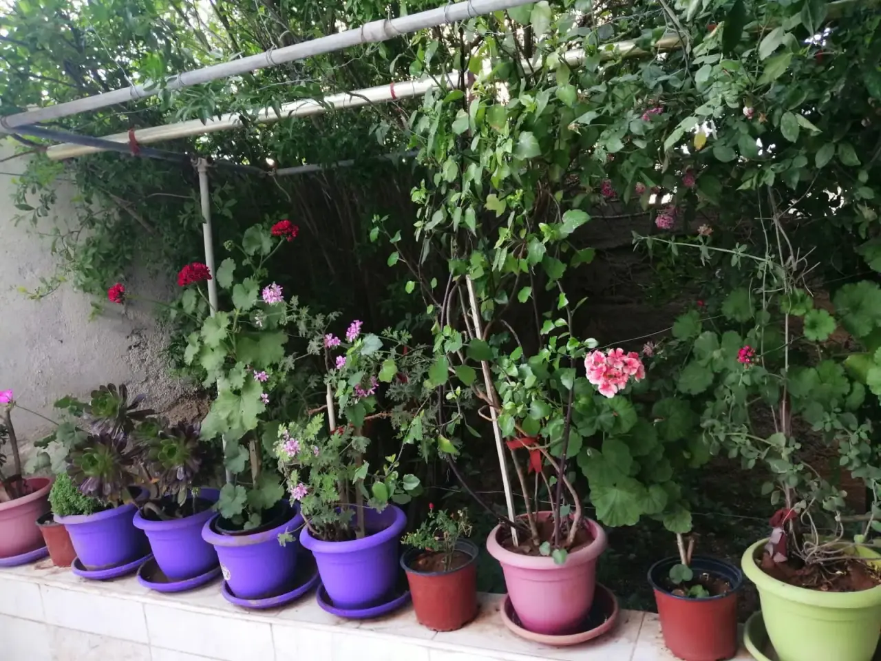 Apartment for sale in Jabal Al Amera Rahma – photo 5