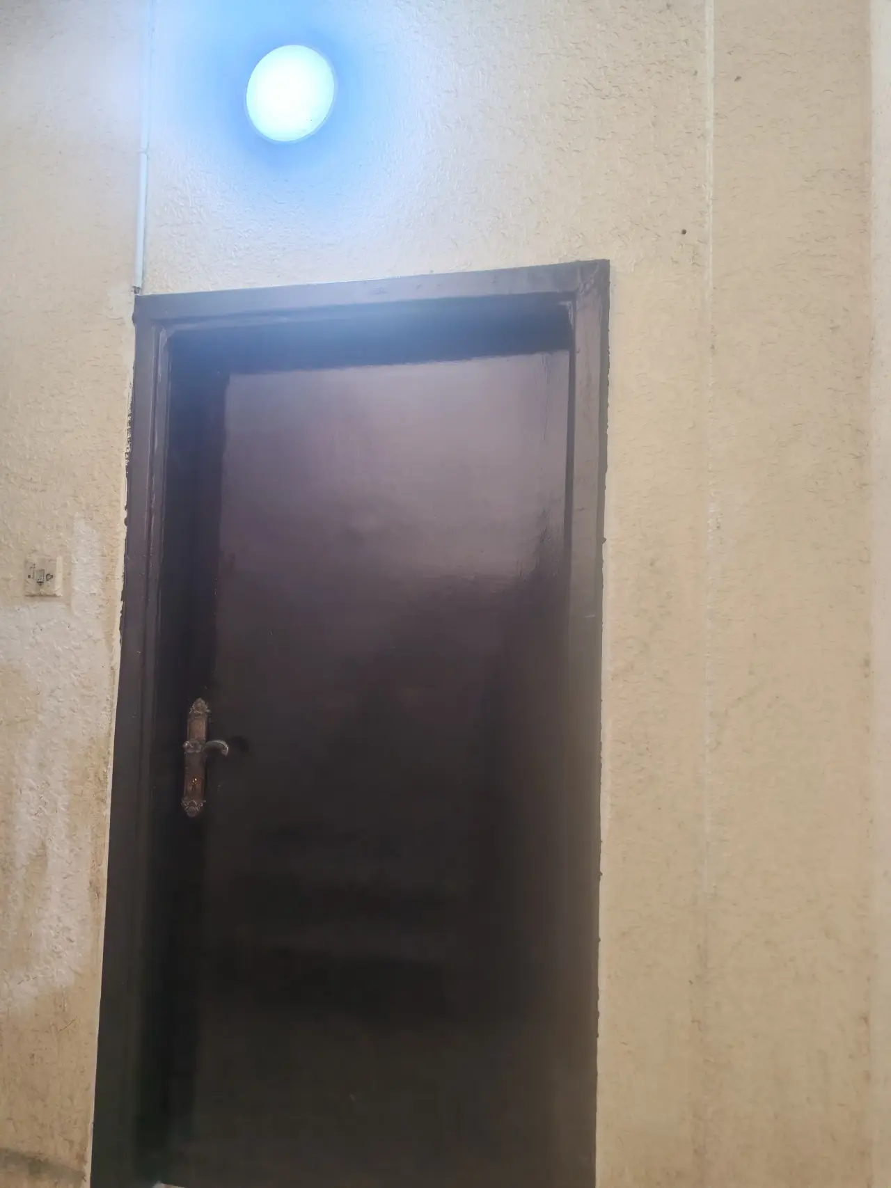 Apartment for rent in Other – photo 5