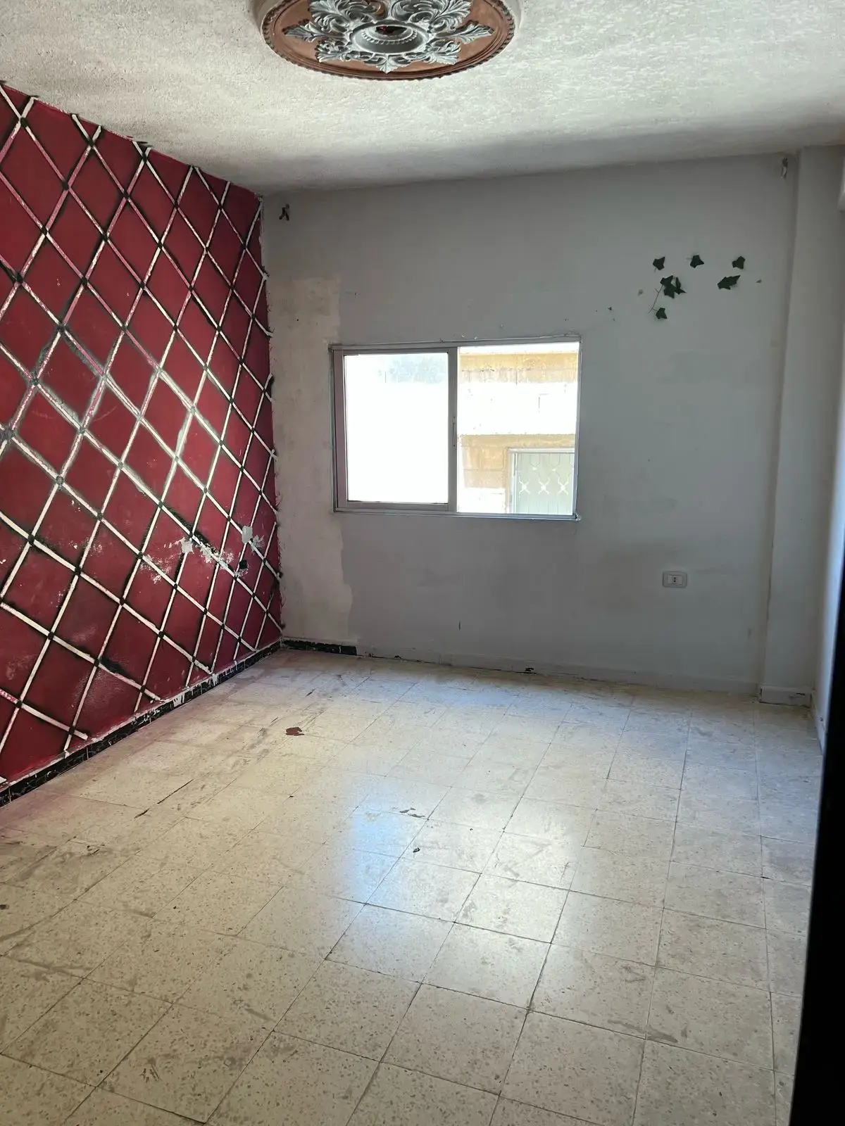 Apartment for rent in Awajan – photo 6