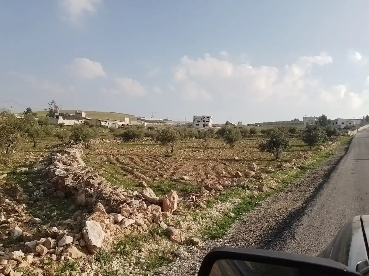 Land for sale in Manshiyyet Bani Hassan – photo 8