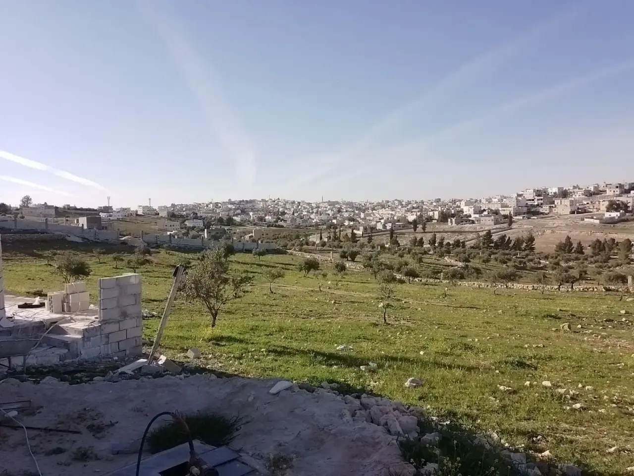 Water well and a building on a 10-dunum olive farm, Manshiyyet Bani Hassan