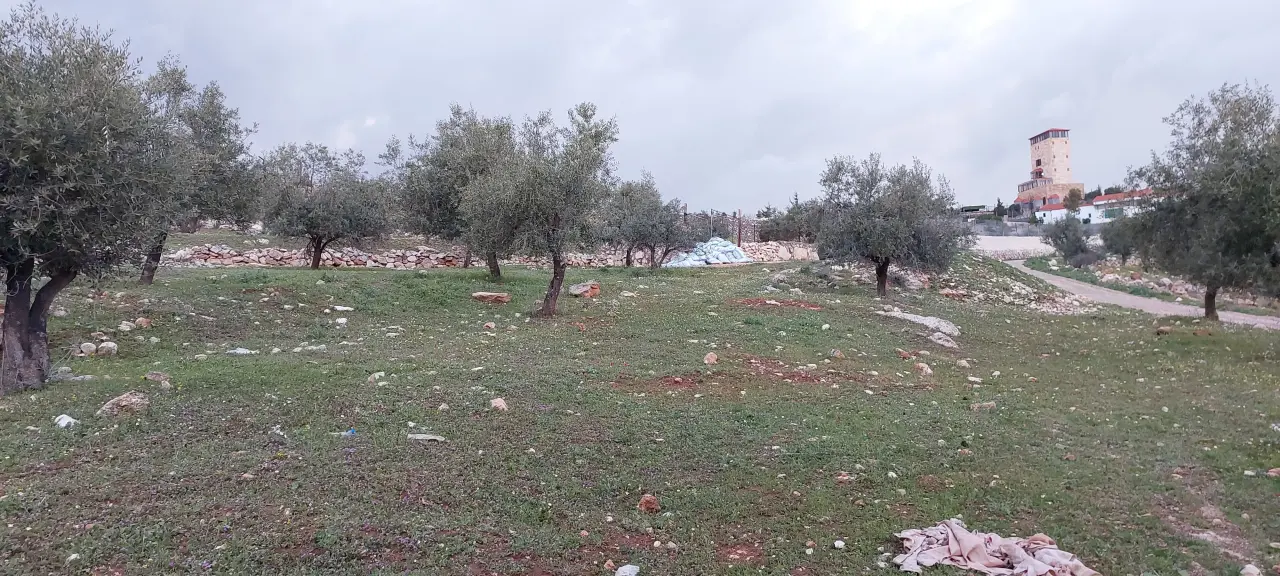 Land for sale in Al-Daqusma – photo 2
