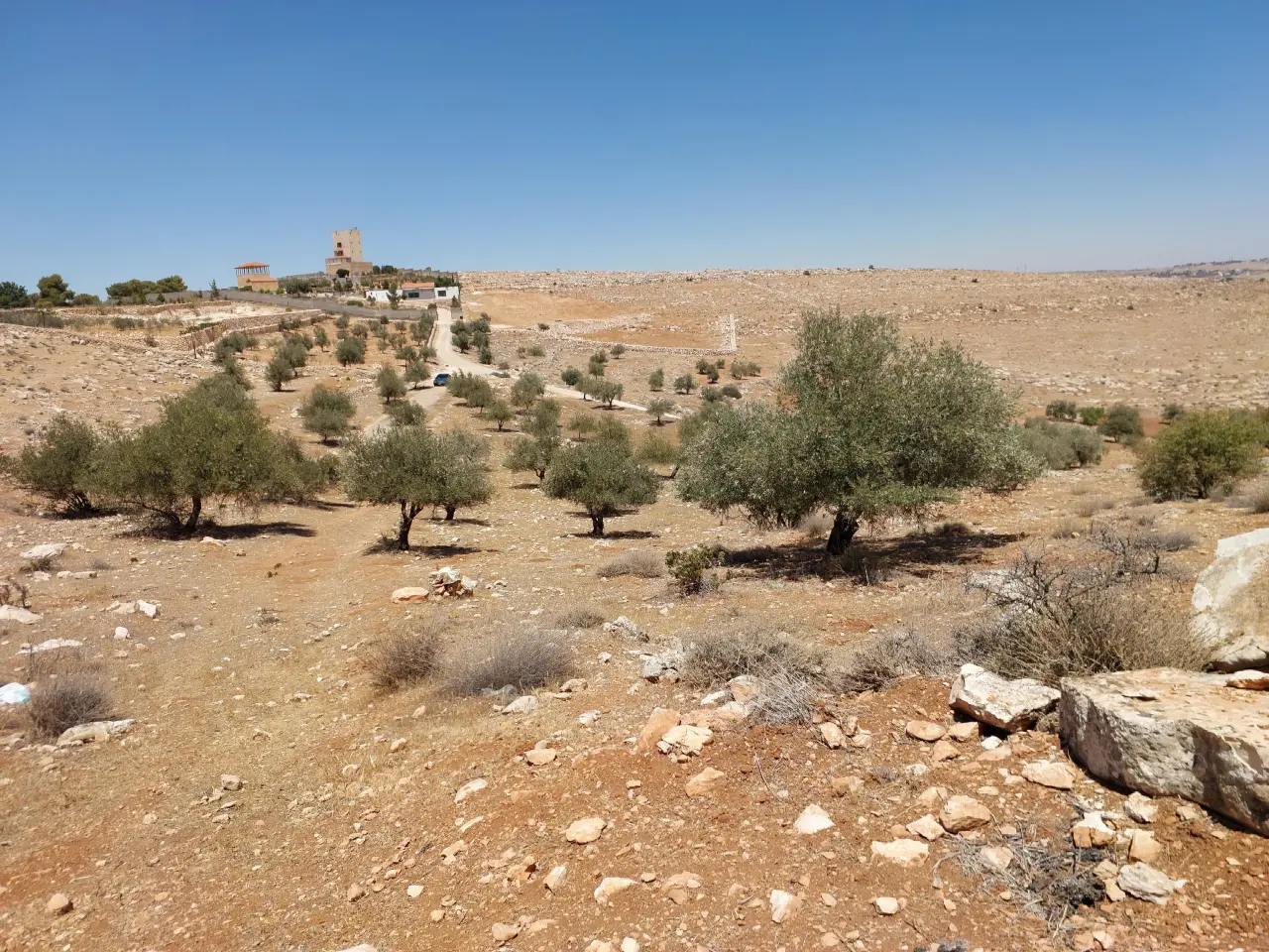 Land for sale in Al-Daqusma – photo 5