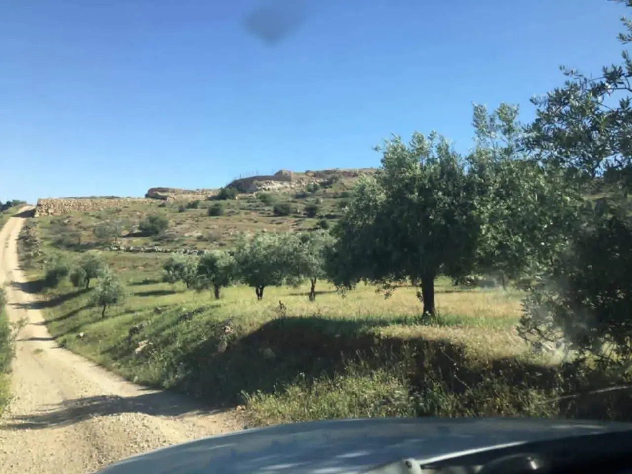 Land for sale in Al-Daqusma – photo 3