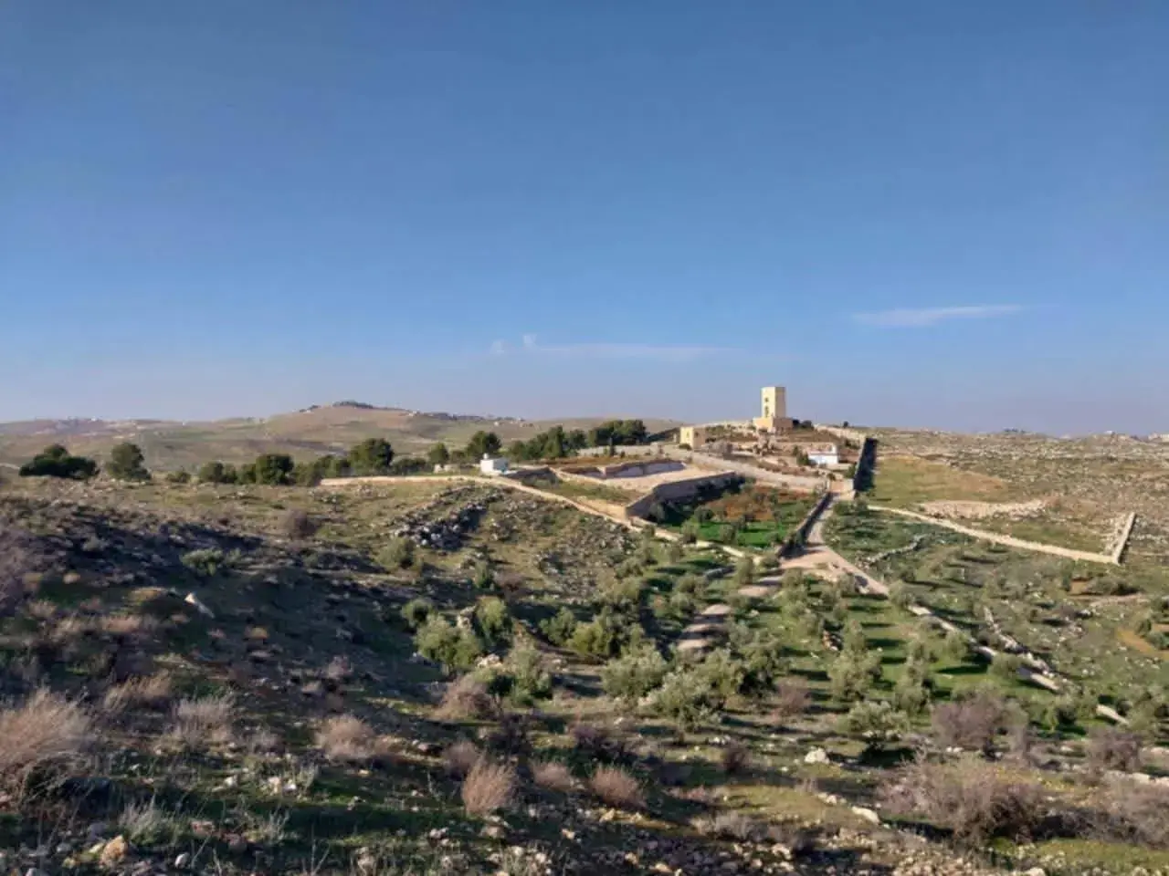 Land for sale in Al-Daqusma – photo 4