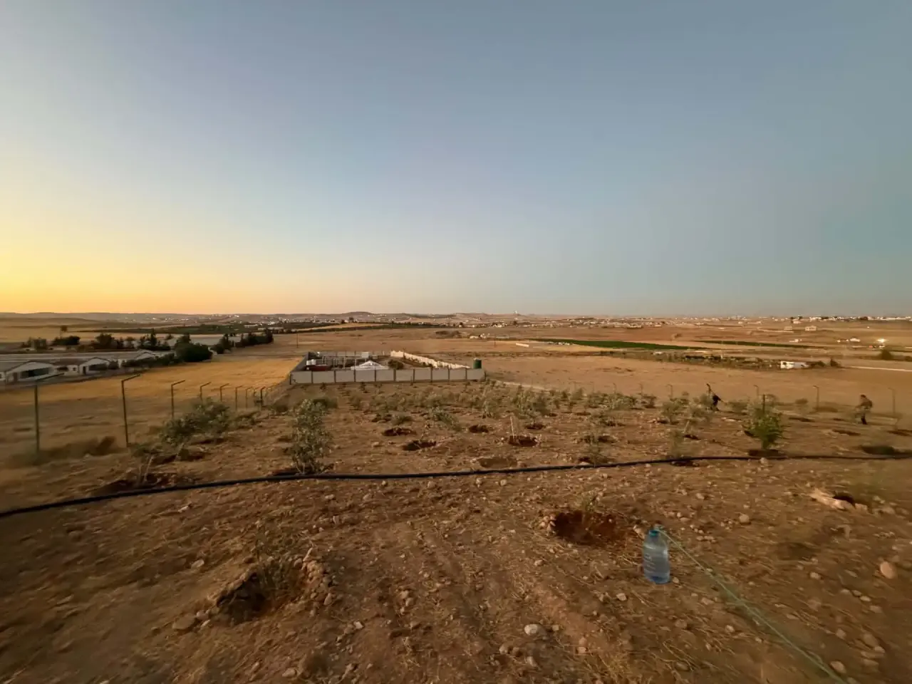 في زنية أرض زراعية مسيجة مزروعة زيتون وحمضيات، ومعها كرفان، للبيع