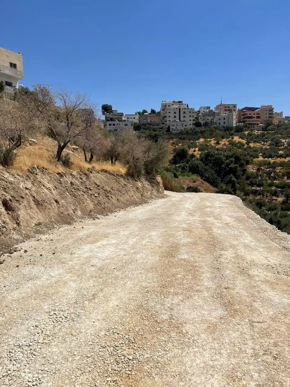 Land for sale in Other – photo 7