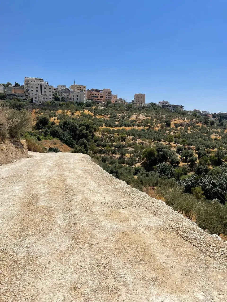 Land for sale in Other – photo 5