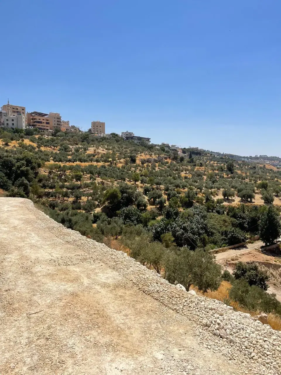 Land for sale in Other – photo 4
