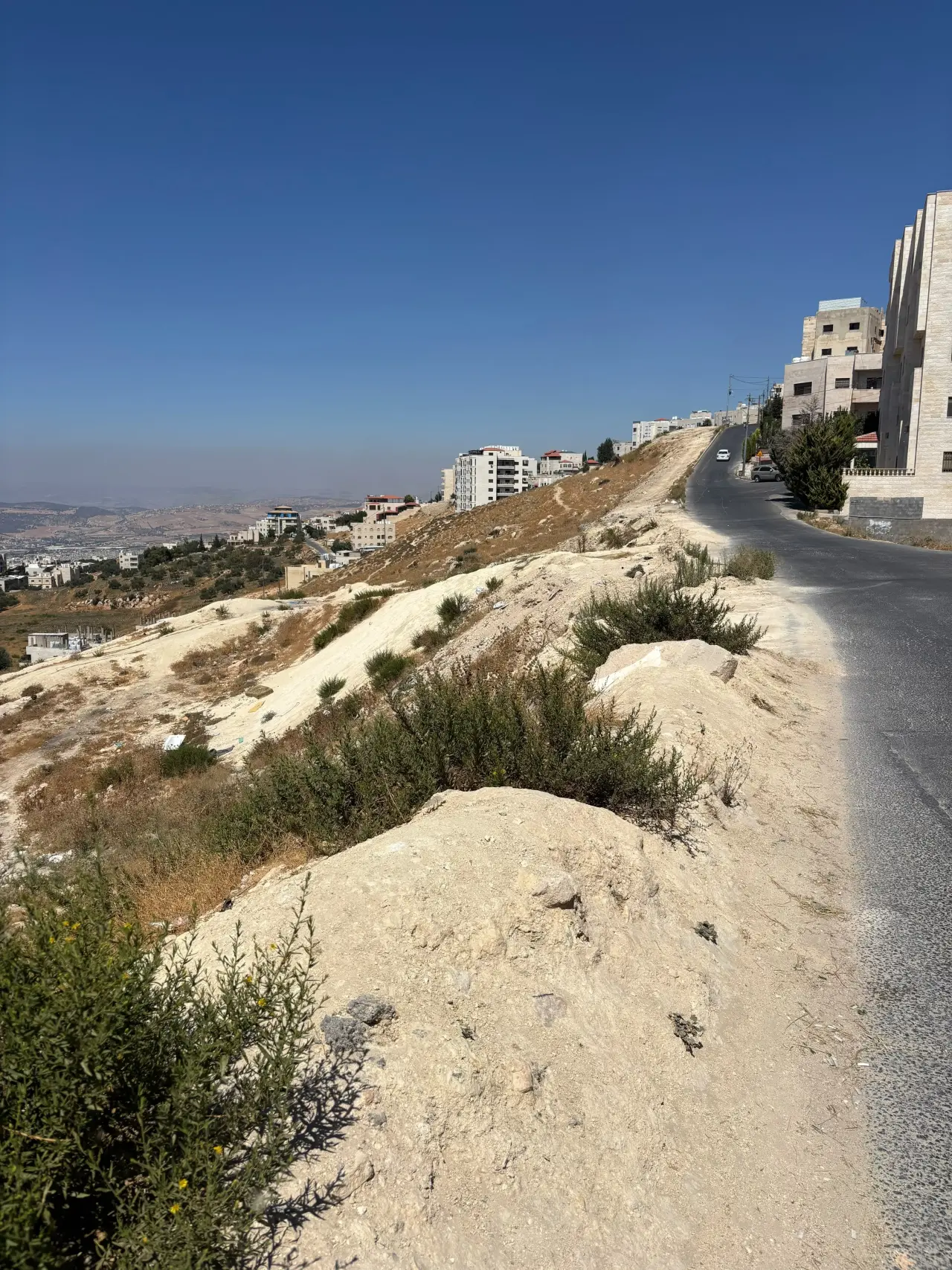 Land for sale in Al Jubayha – photo 6