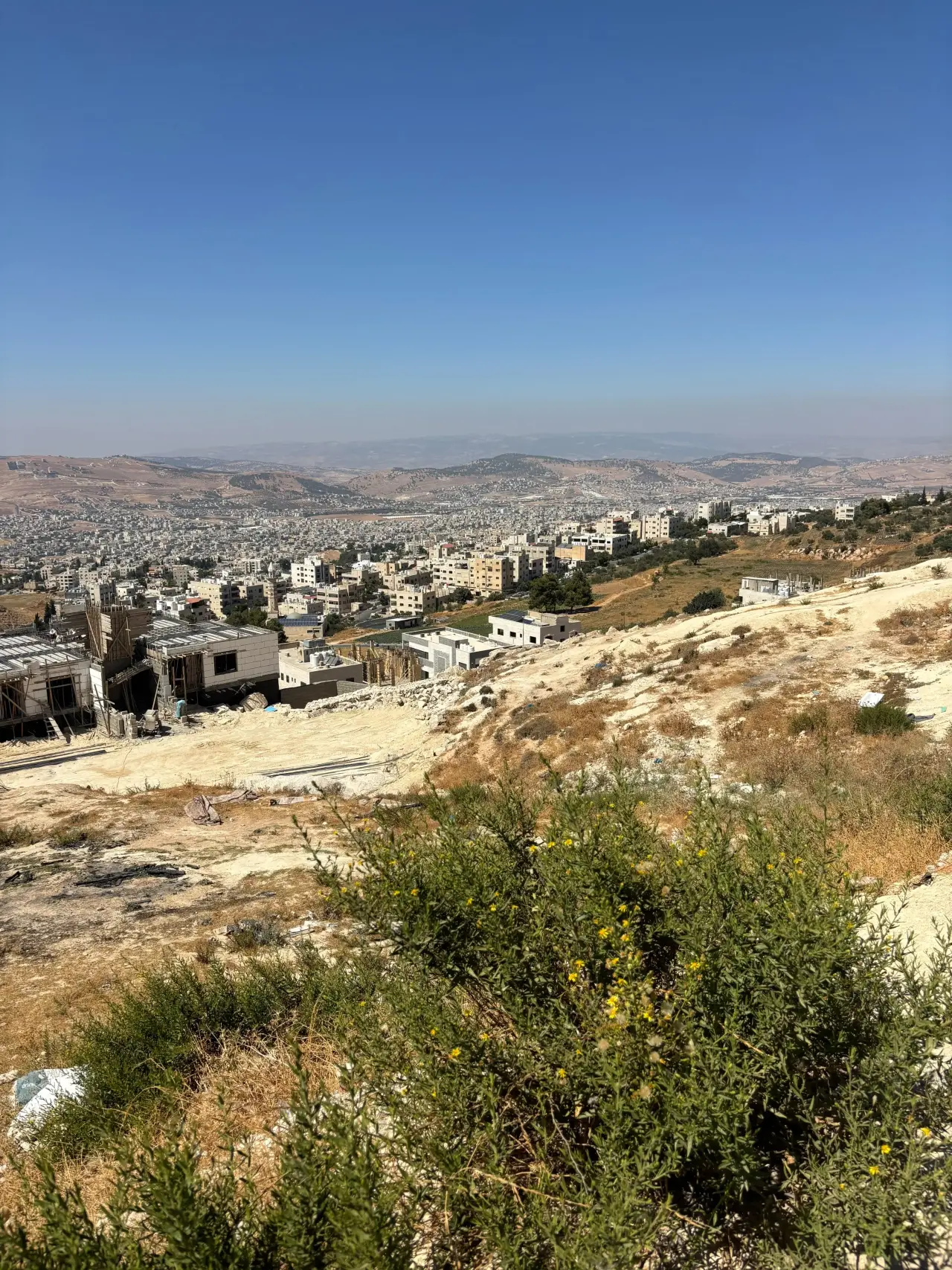 Land for sale in Al Jubayha – photo 2