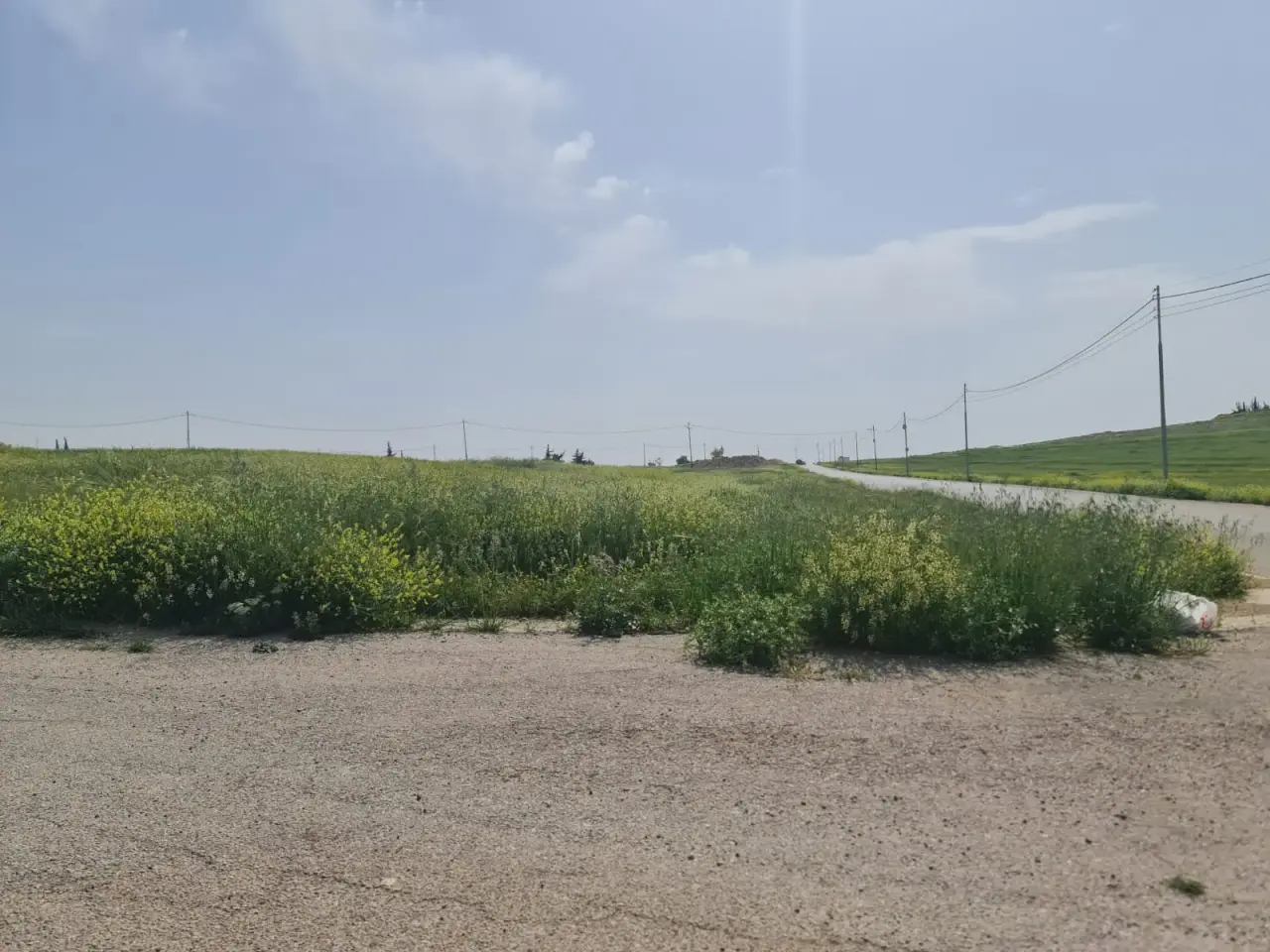 Land for sale in Al Lubban – photo 4