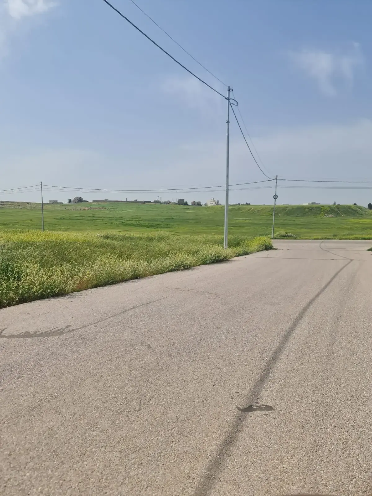 Land for sale in Al Lubban – photo 5
