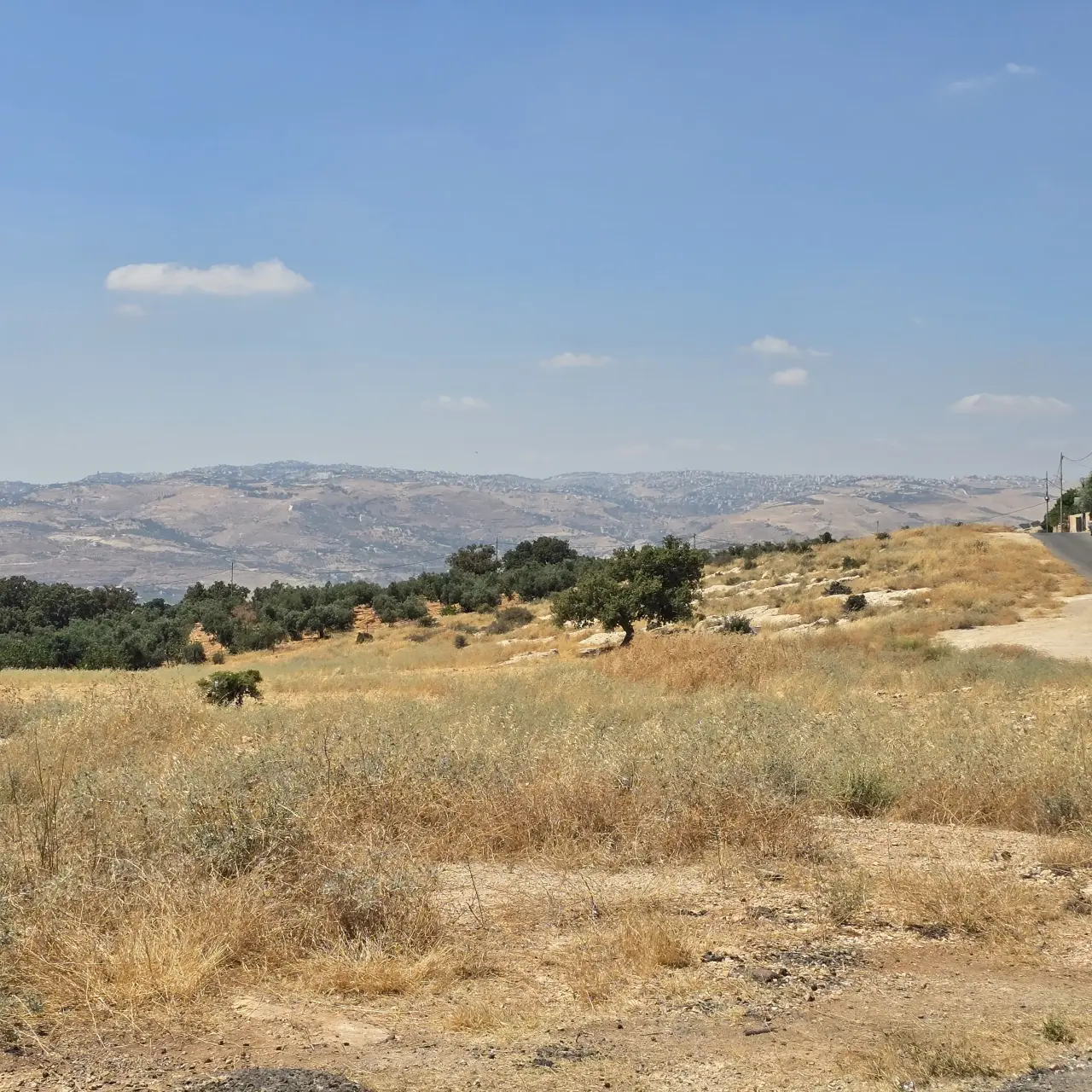 Land for sale in Bilal – photo 8