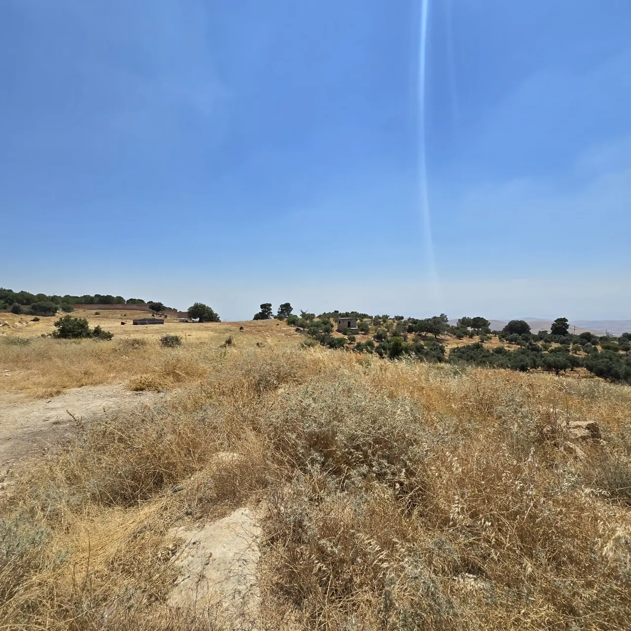 Land for sale in Bilal – photo 4