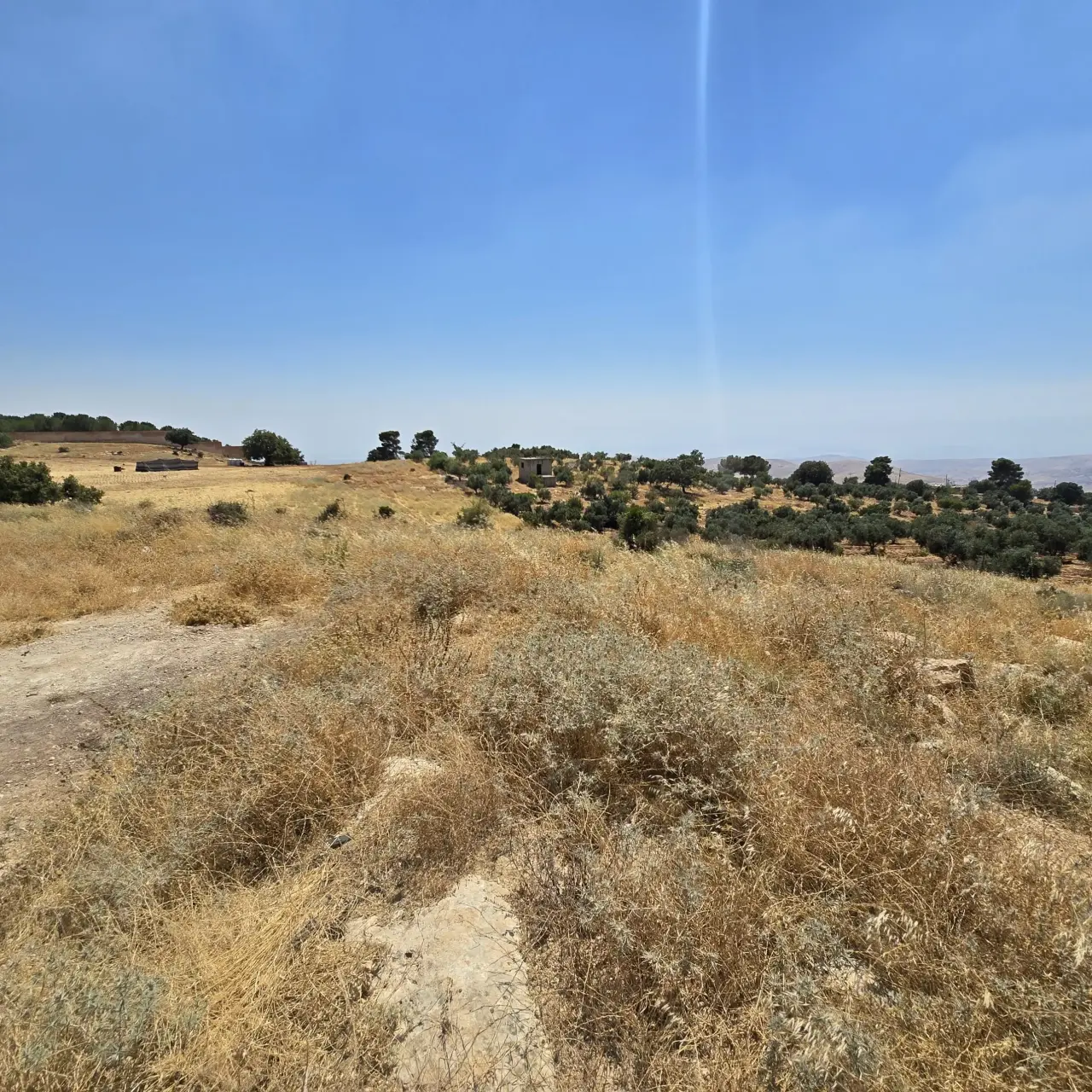 Land for sale in Bilal – photo 6