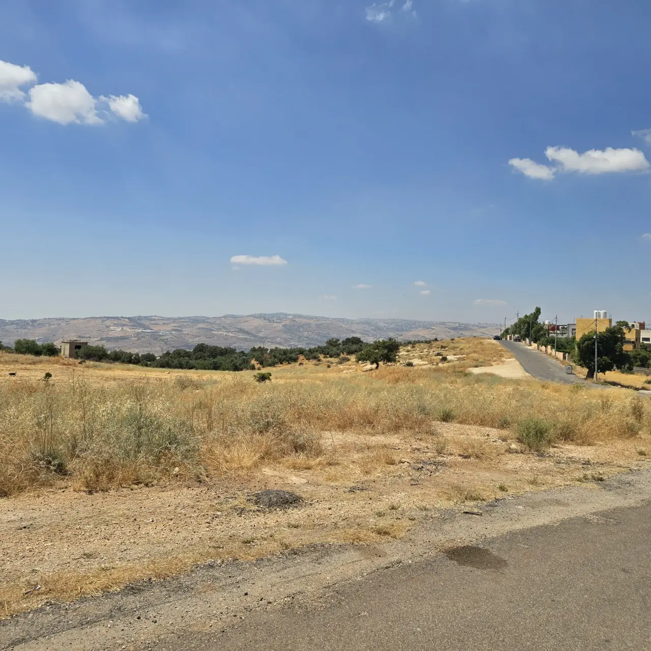 Land for sale in Bilal – photo 7