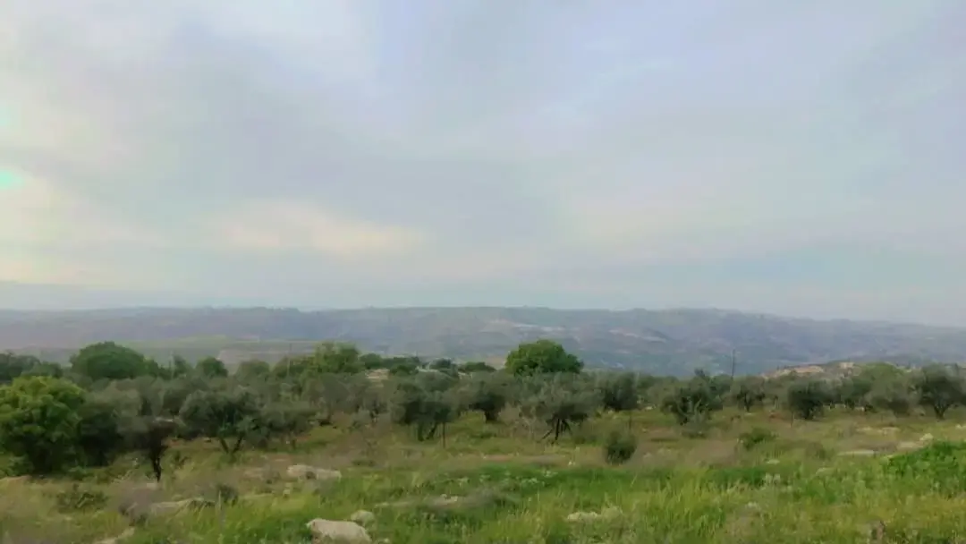 Land for sale in Bilal – photo 2