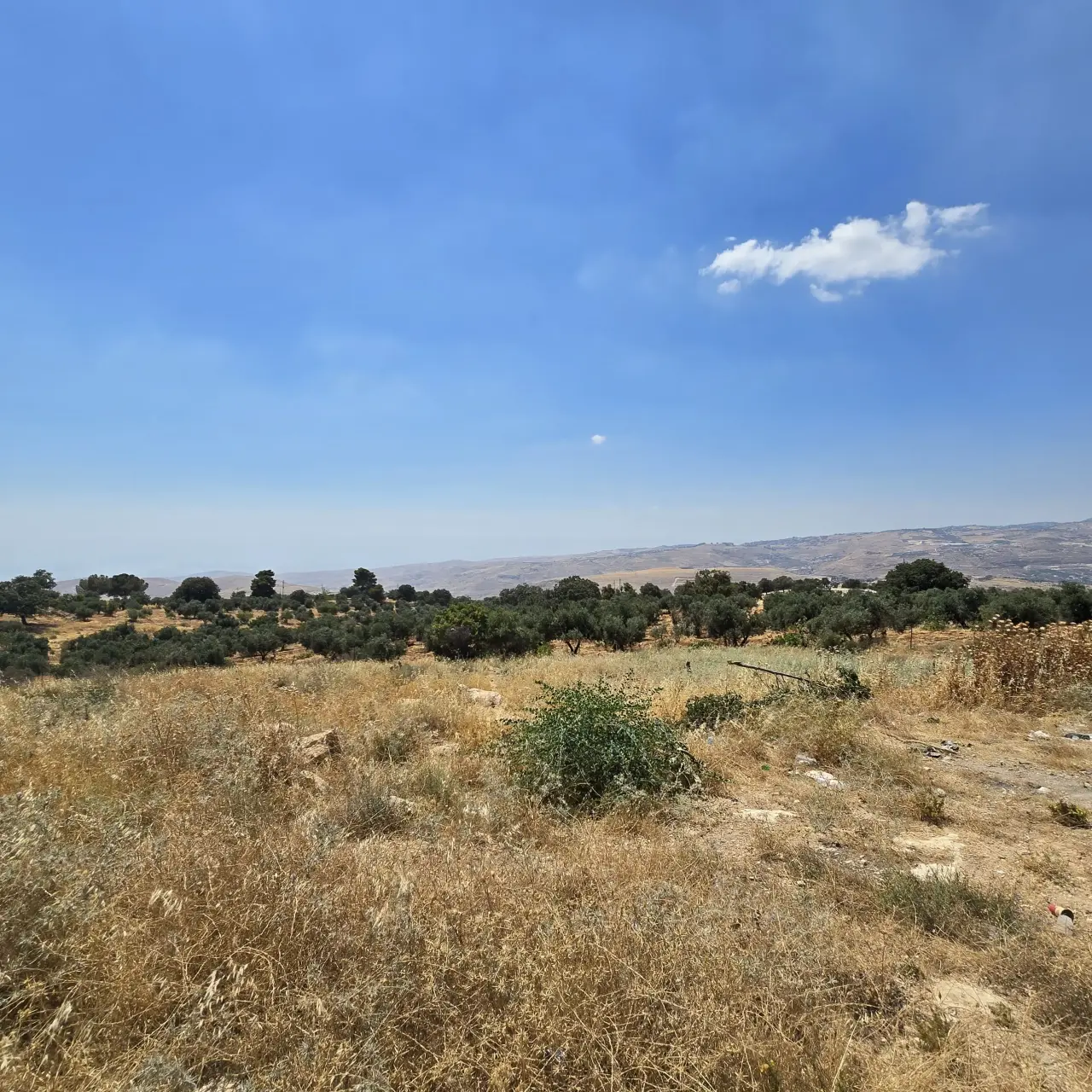 Land for sale in Bilal – photo 5