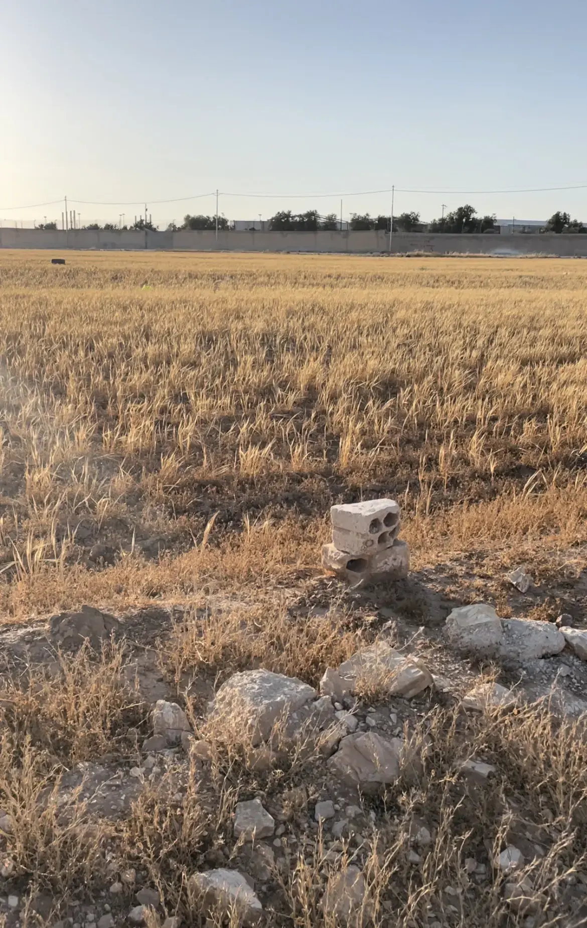 Land for rent in Al Mowaqar – photo 10