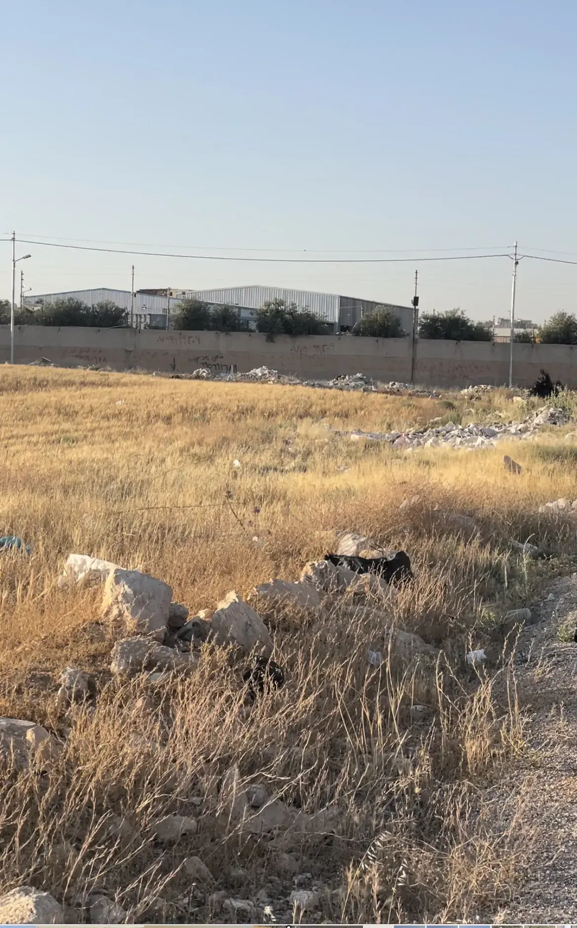 Land for rent in Al Mowaqar – photo 11