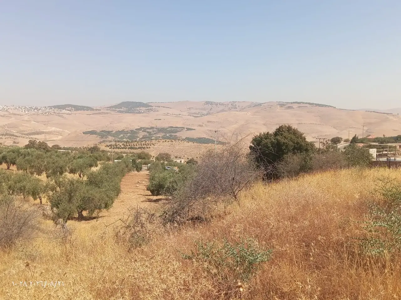 Land for sale in Al-Alouk – photo 12