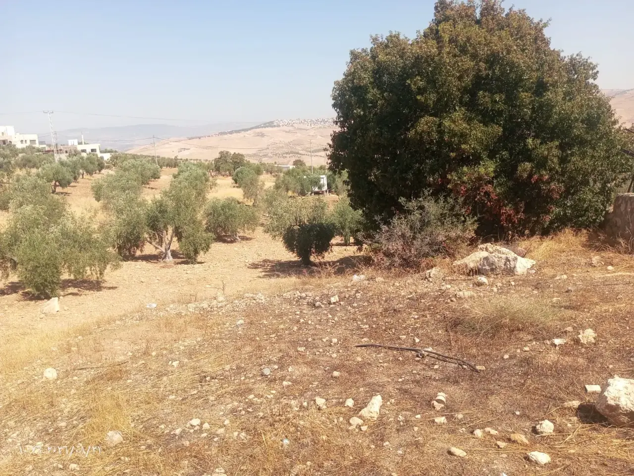 Land for sale in Al-Alouk – photo 3