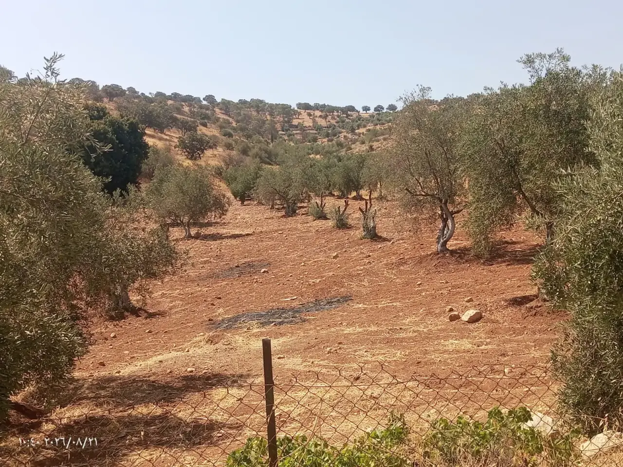Land for sale in Al-Alouk – photo 10