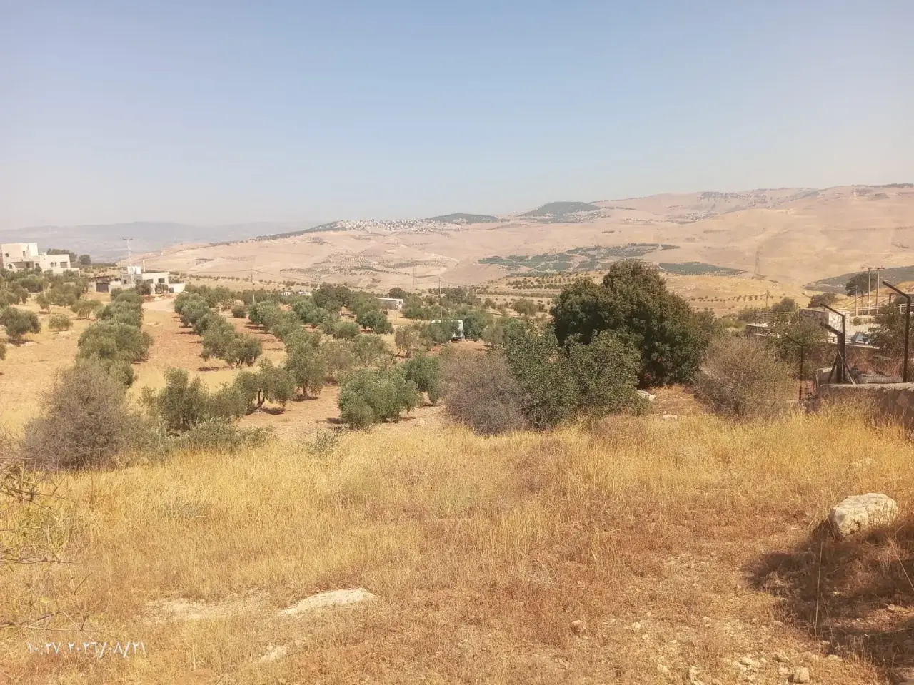 Land for sale in Al-Alouk – photo 11