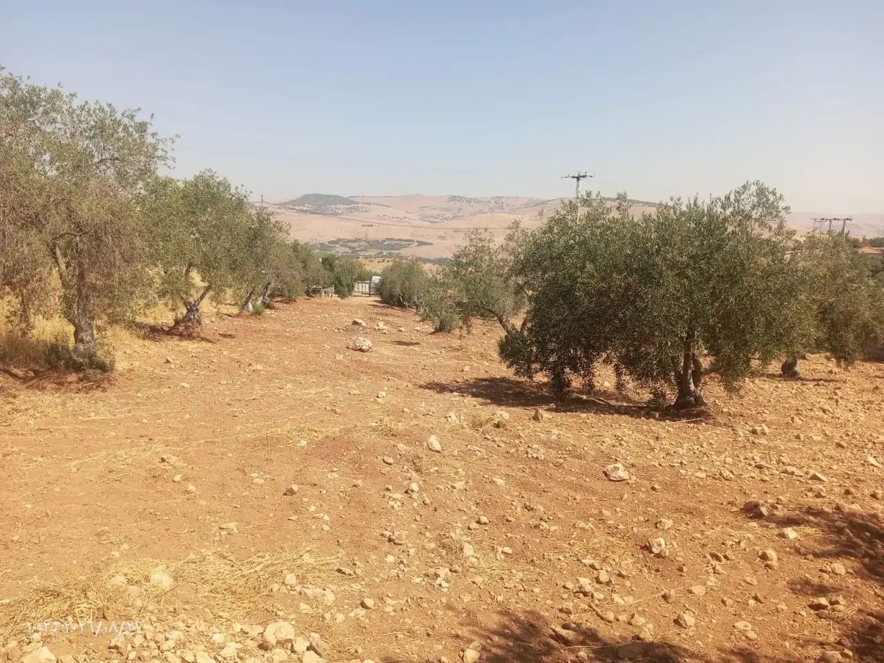 Land for sale in Al-Alouk – photo 6