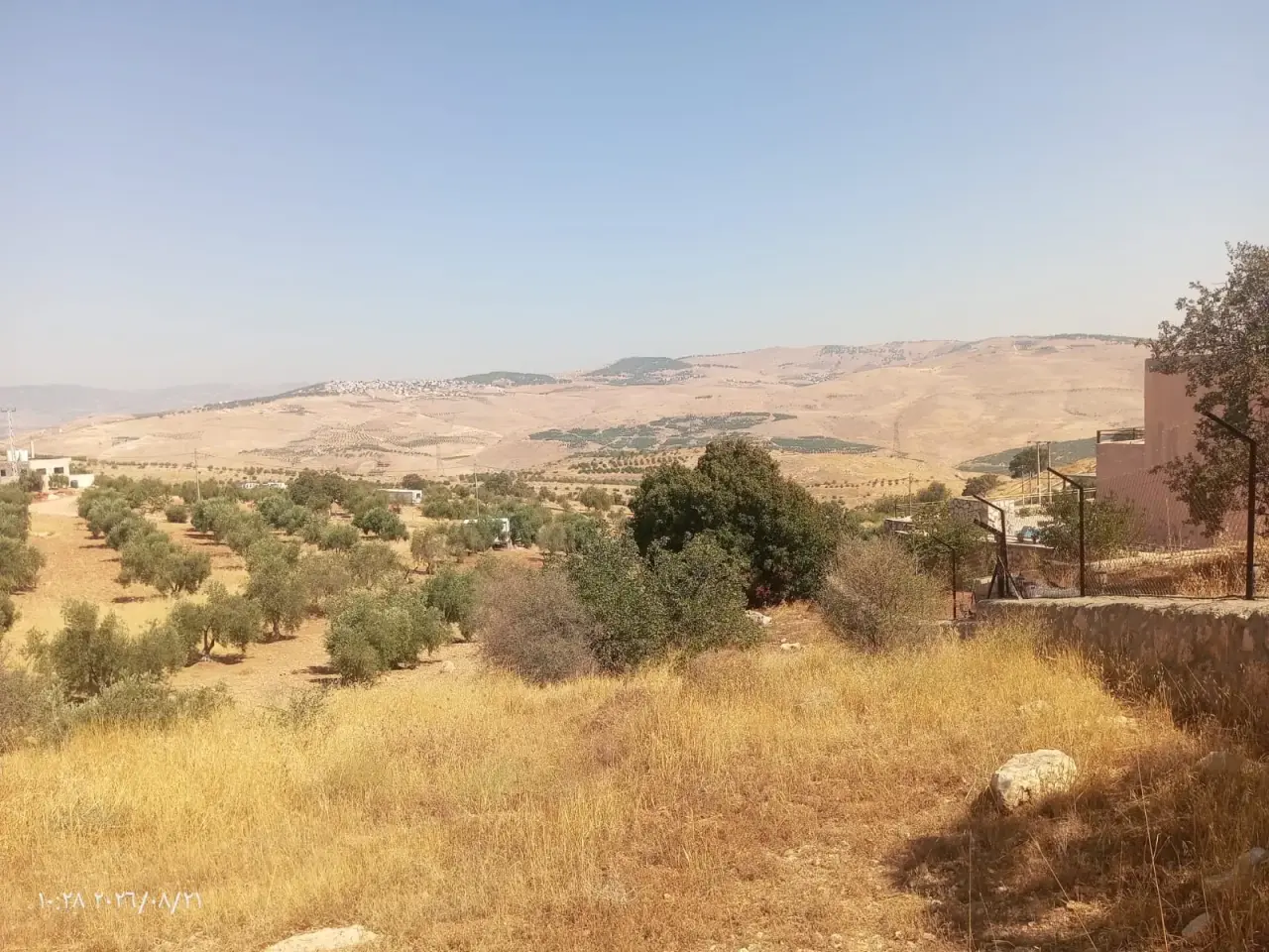 Land for sale in Al-Alouk – photo 7