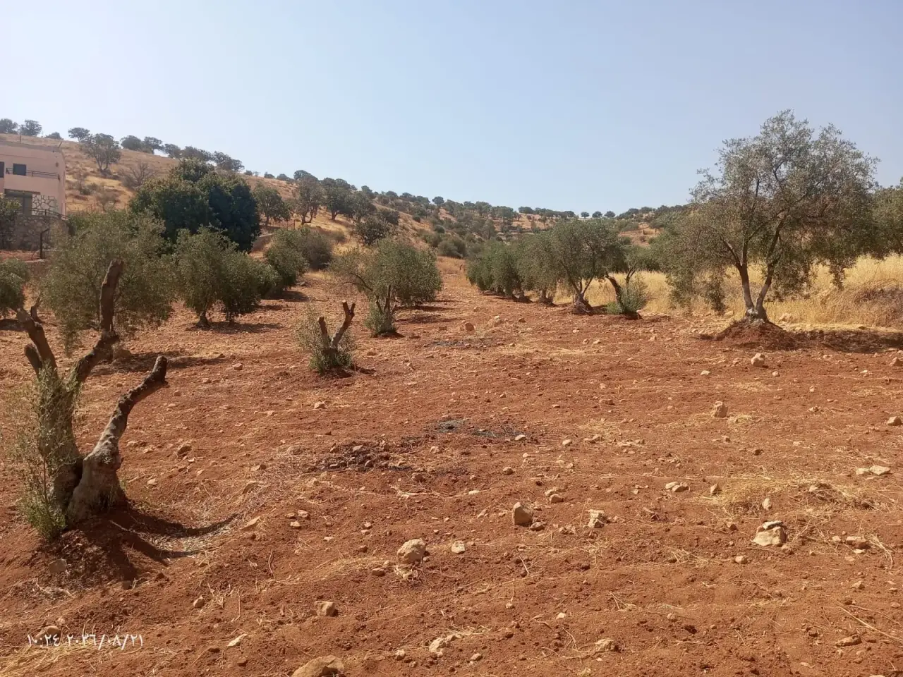 Land for sale in Al-Alouk – photo 2