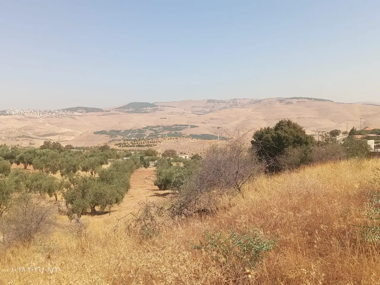 Land for sale in Al-Alouk – photo 5