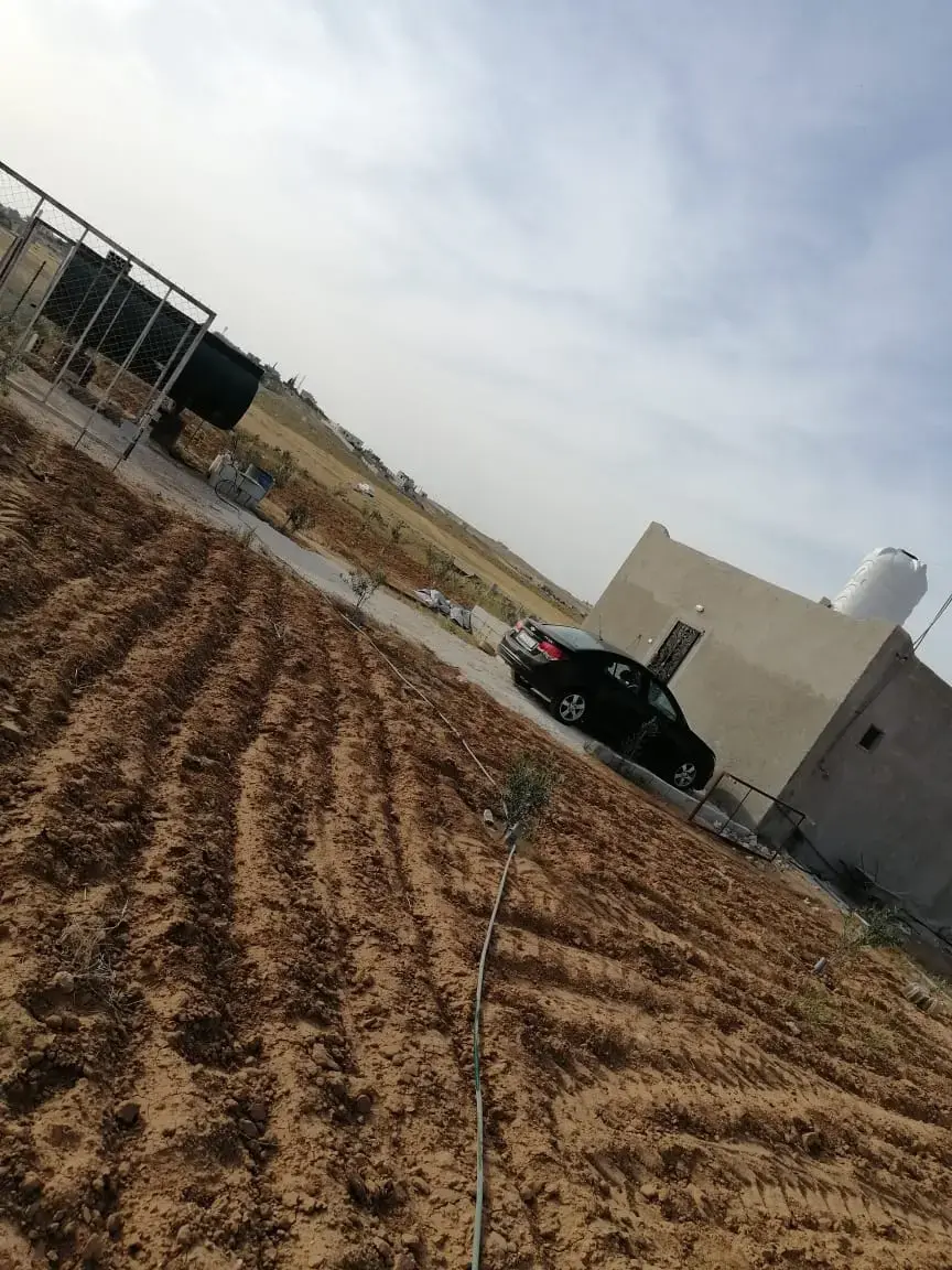 Land for sale in Other – photo 16