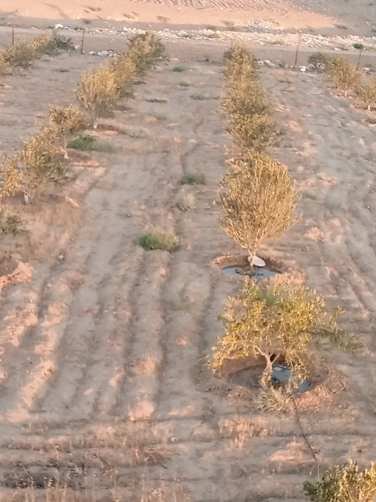 Land for sale in Other – photo 15