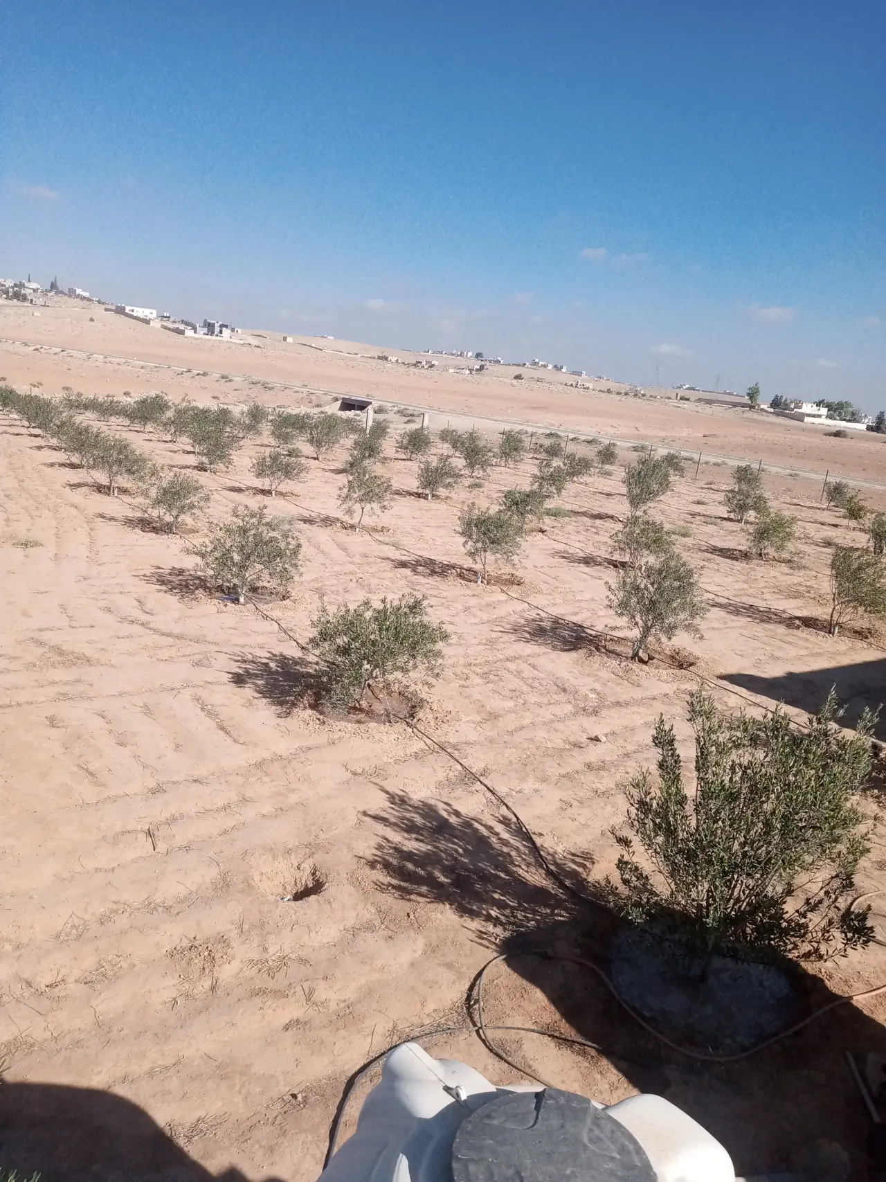 Land for sale in Other – photo 2