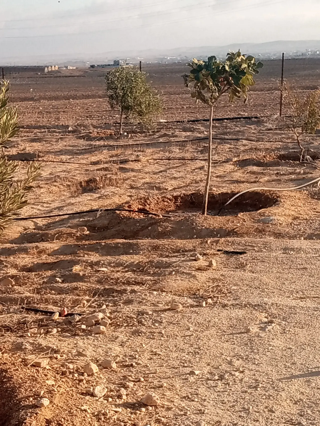 Land for sale in Other – photo 9