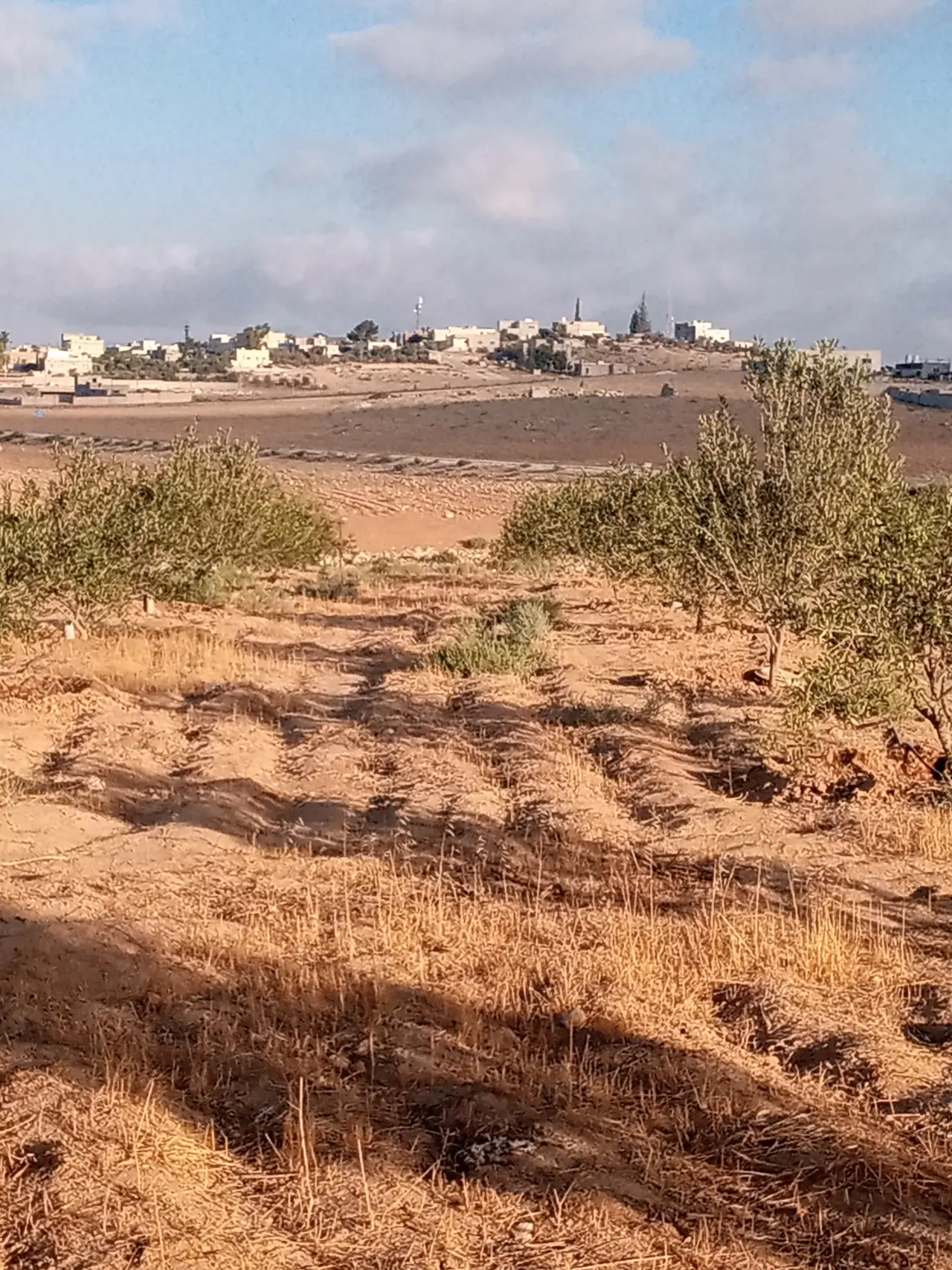 Land for sale in Other – photo 10