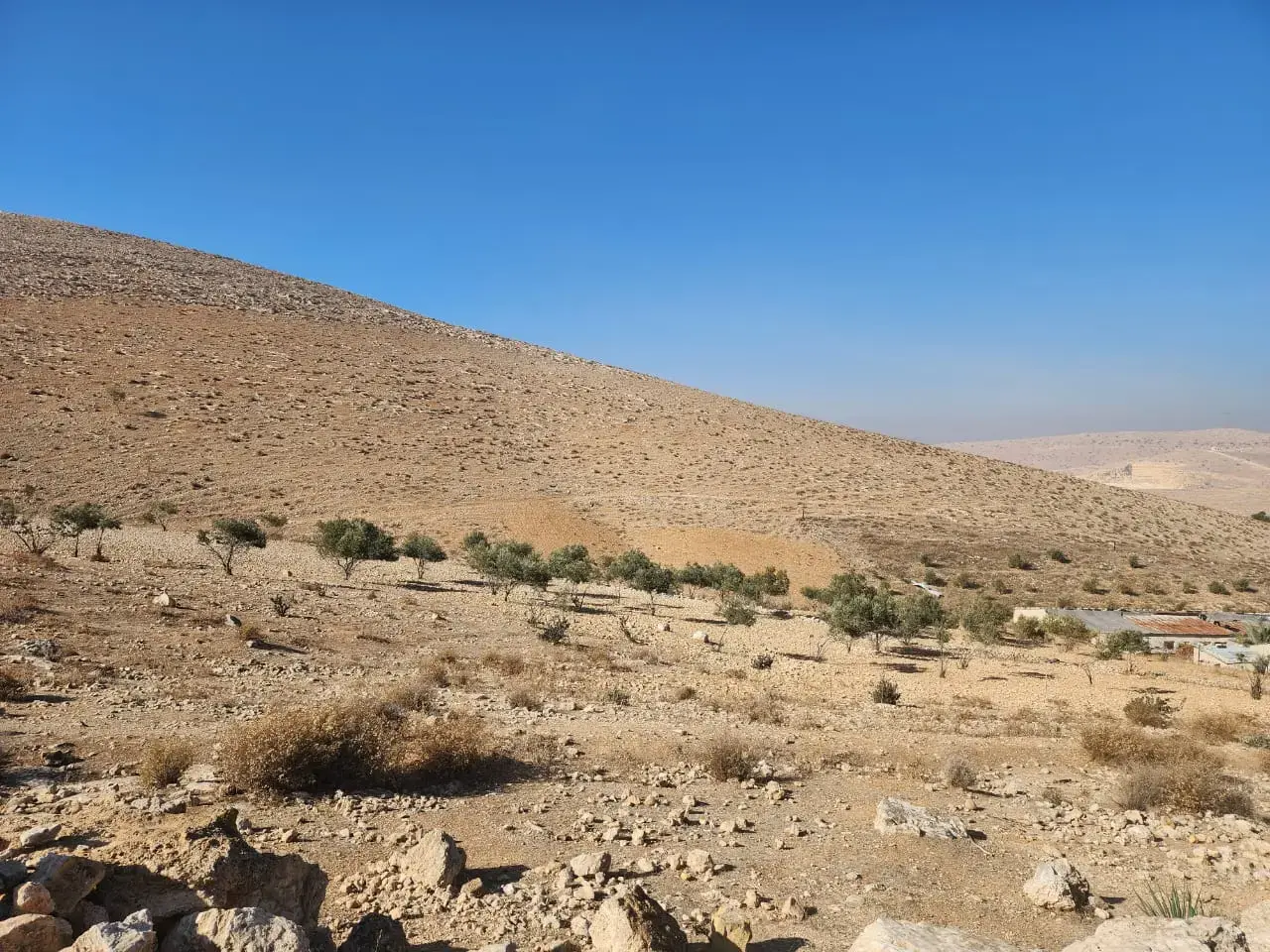 10 دونمات أرض زراعية بقوشان مستقل في حمنانة بالمفرق