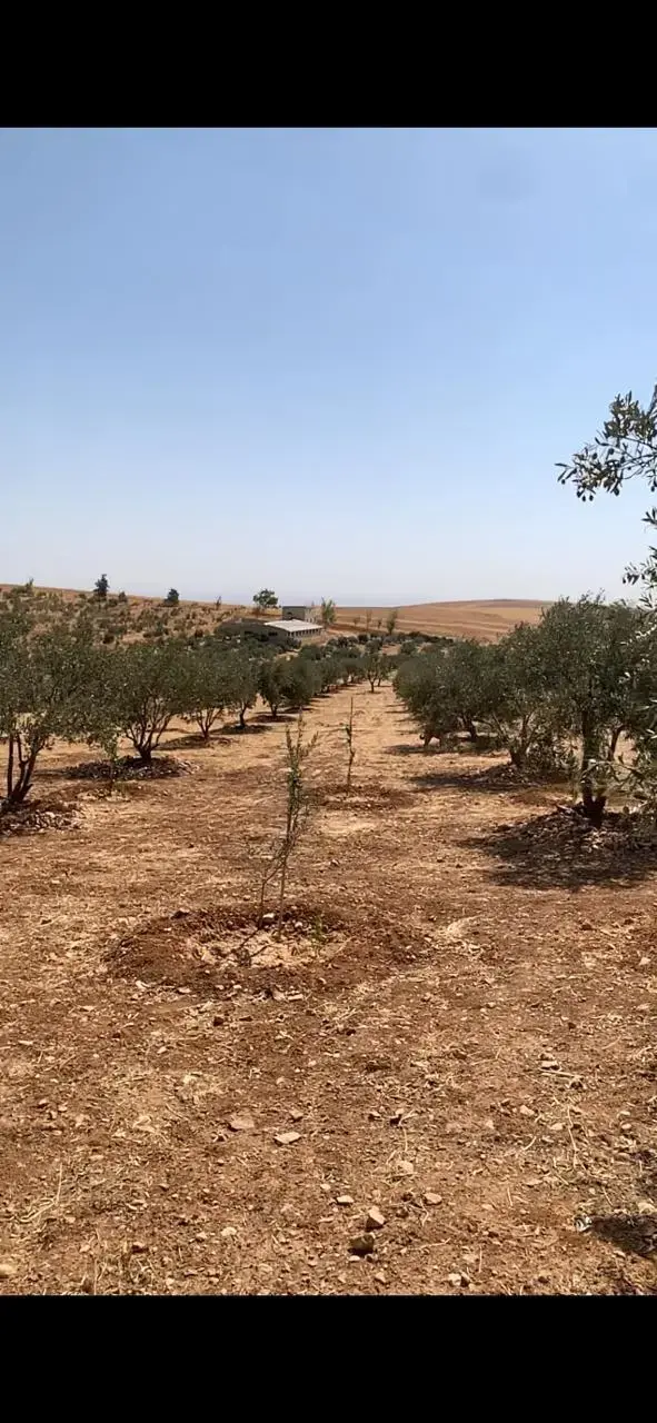 Land for sale in Hayyan Al Moshref – photo 8