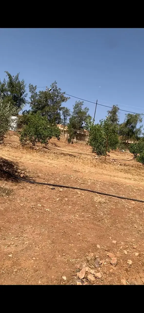 Land for sale in Hayyan Al Moshref – photo 6