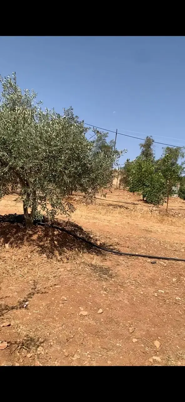 Land for sale in Hayyan Al Moshref – photo 7