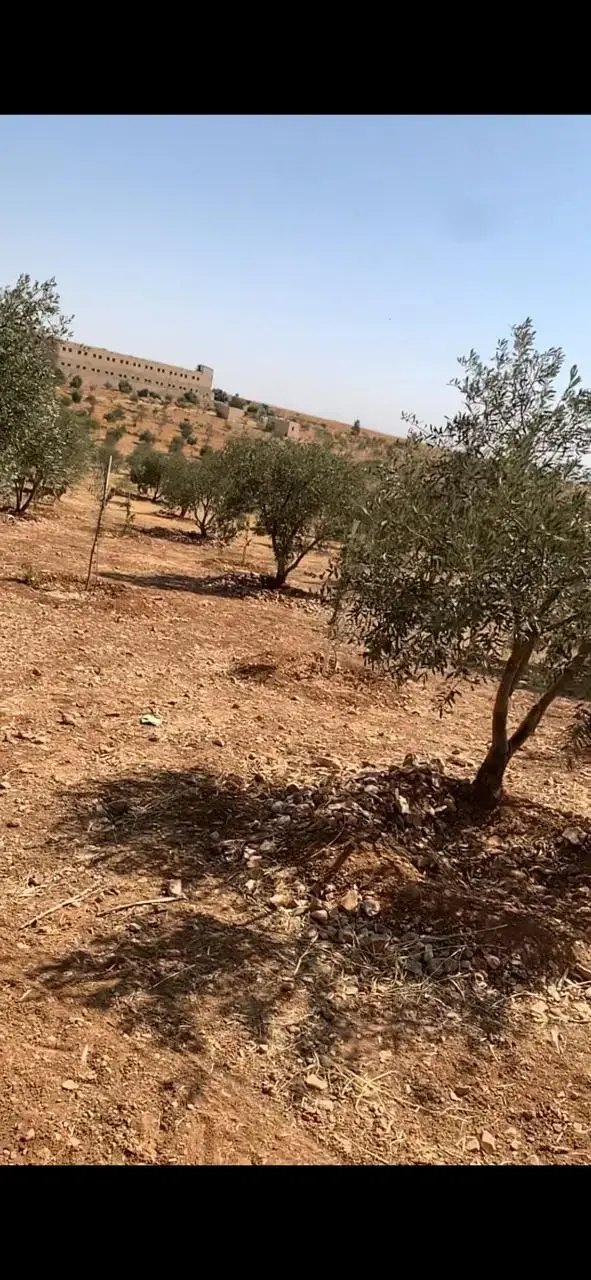 Land for sale in Hayyan Al Moshref – photo 2