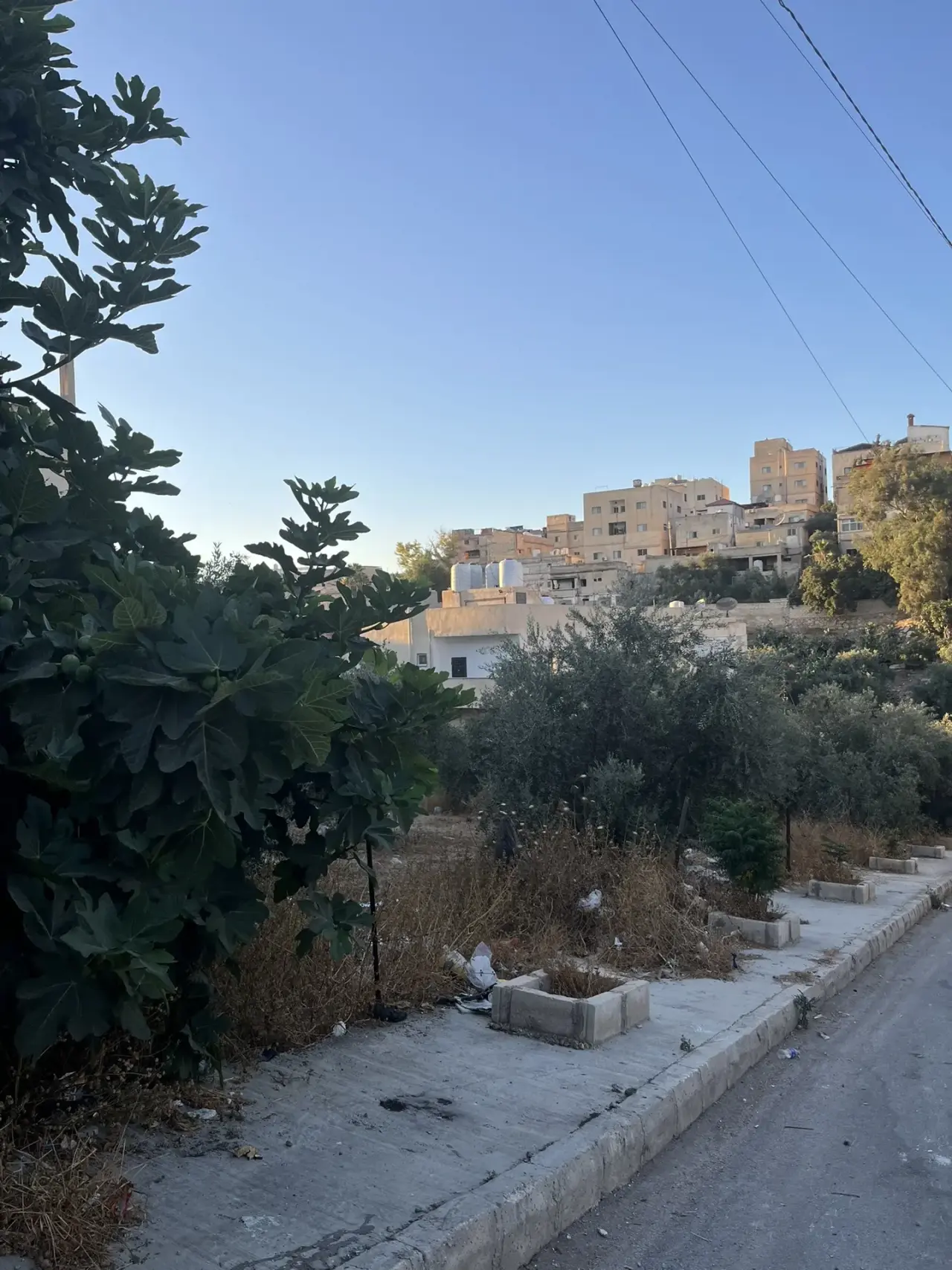 Land for sale in Al Barha – photo 4