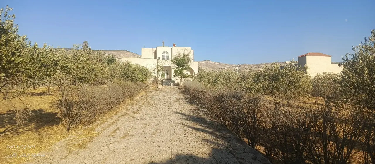 Mobis, Ein Al-Basha, near Jordan Street: walled 4-dunum plot with an old house