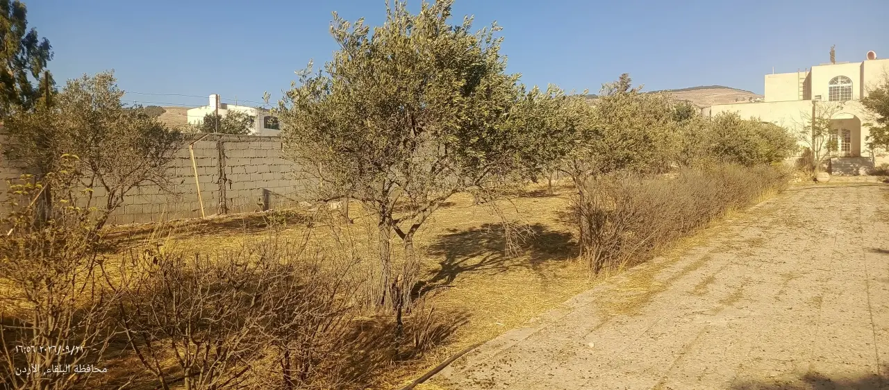 Land for sale in Ein Al-Basha – photo 2